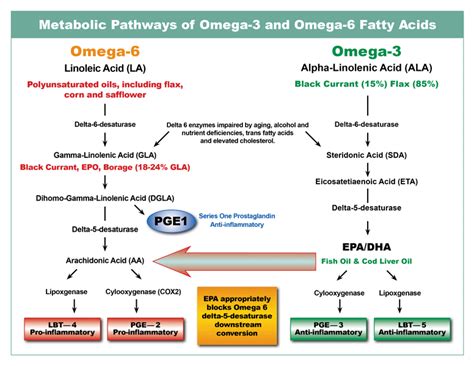 what blocks omega 3 absorption.